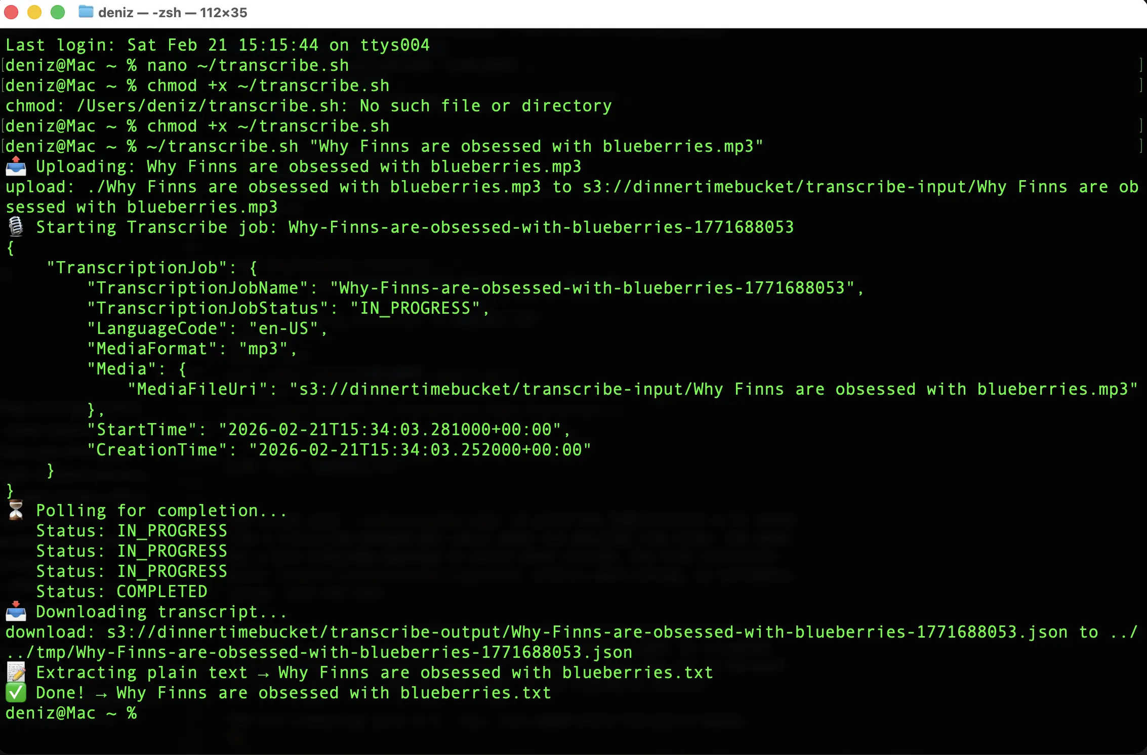 Transcribe script running in terminal